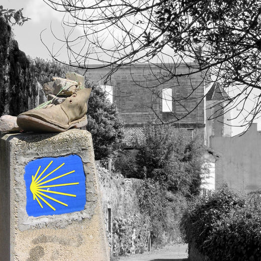 Visite à part - Sur le chemin de Compostelle